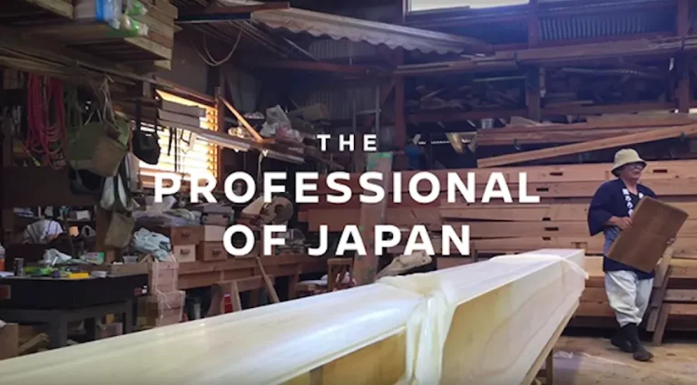 THE PROFESSIONAL OF JAPAN NISSAN CARAVAN