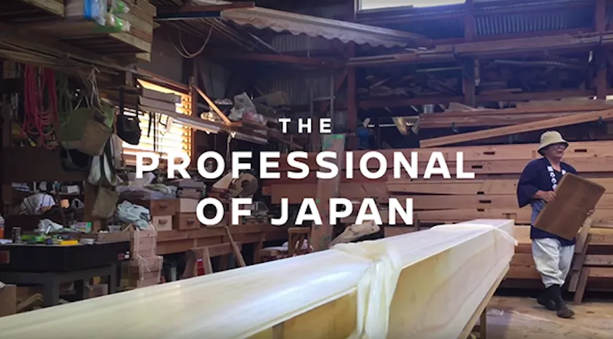 THE PROFESSIONAL OF JAPAN NISSAN CARAVAN