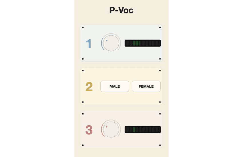 P-Voc
